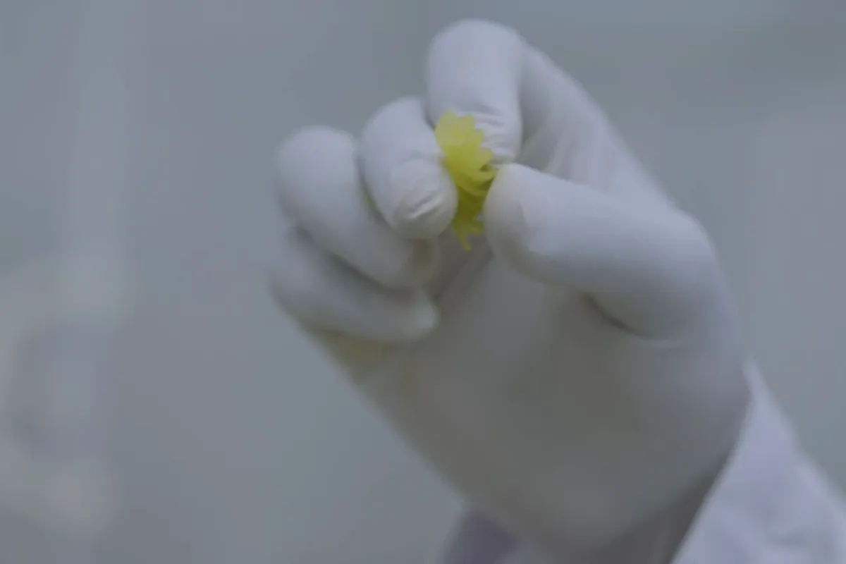 Gloved hand pressing a cooked pasta sample in the Jaspur lab
